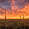 Solvency II News: Climate risk management for insurers Windfarm at sunset - climate risk managment