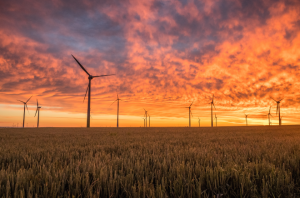 Windfarm at sunset - climate risk managment