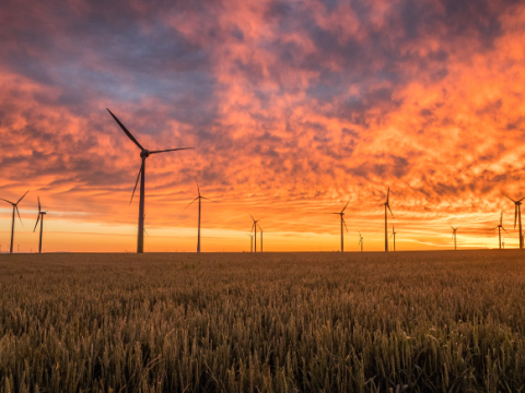 Windfarm at sunset - climate risk managment