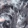 WACI – a blunt tool for climate disclosures Aerial photo of a hurricane