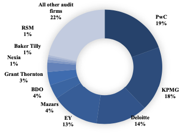 Market share of number of statutory audits (2018)