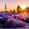 CNP Assurances Group 2024 SFCR: solvency ratio down CNP Assurances Group 2024 SFCR: solvency ratio down