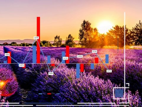 CNP Assurances Group 2024 SFCR: solvency ratio down