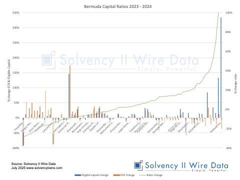 Bermuda Capital Ratios 2023 2024