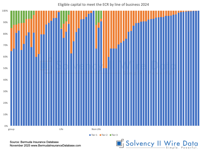 Eligible capital to meet the ECR by Line of Business 2024